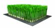 EasyTurf Earns Finalist Spot in U-T's Annual